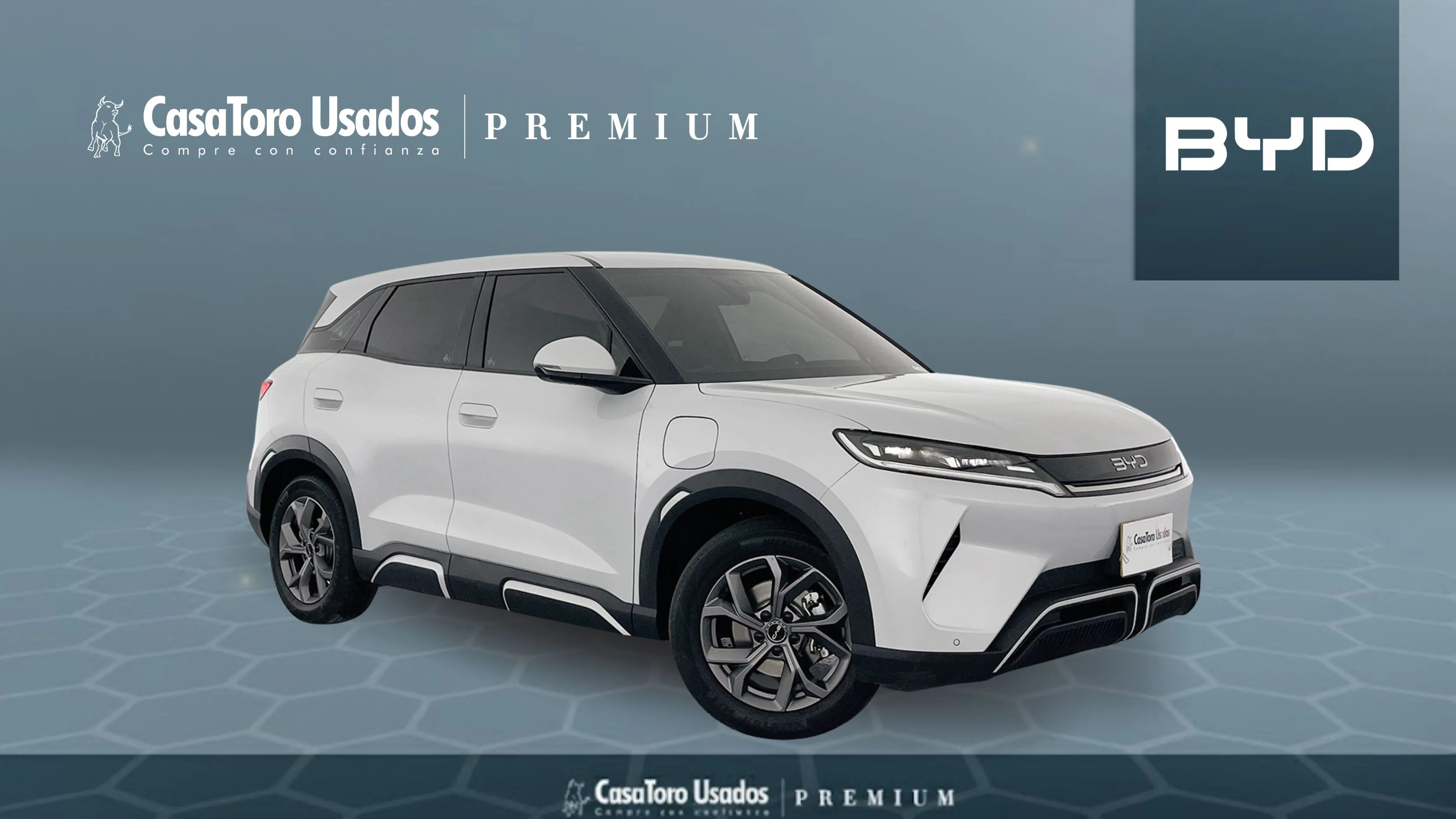BYD YUAN UP EV AT 130KW 6AB ABS