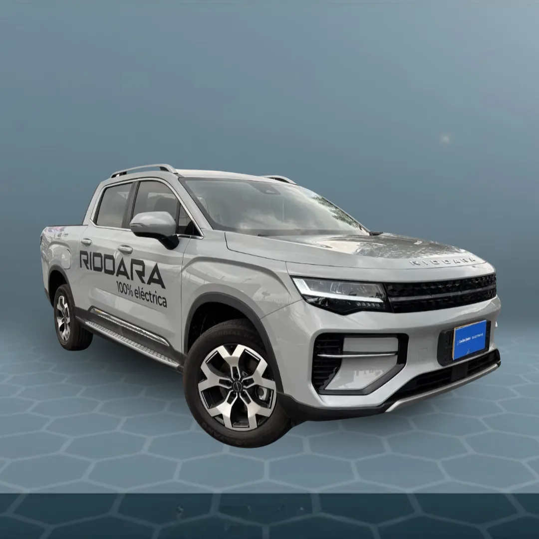 RIDDARA RD6 AIR AT 310KW 4X2 [DC]
